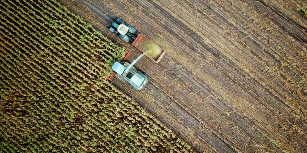 The Farm Company