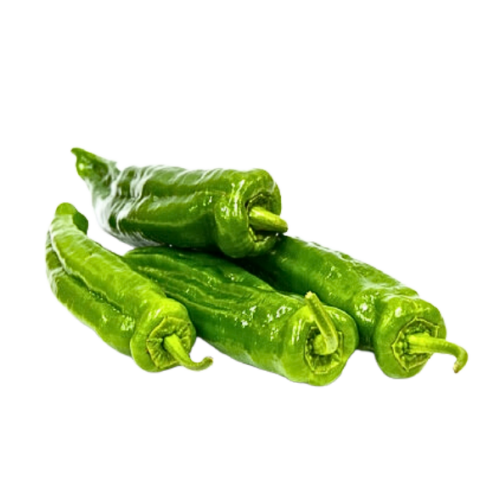 ITALIAANSE GROENE PAPRIKA